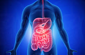 ANTACIDS AND DIGESTIVE AIDS
